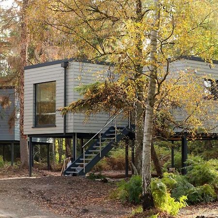 Tierpark Entdeckerhaeuser Wagenfeld Exterior photo