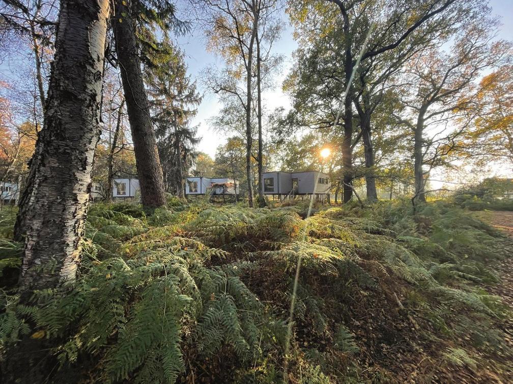 Tierpark Entdeckerhaeuser Wagenfeld Exterior photo