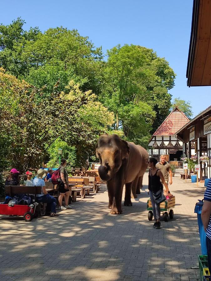 Tierpark Entdeckerhaeuser Wagenfeld Exterior photo